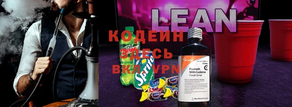 стаф Корсаков