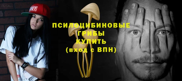 крисы Коряжма