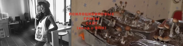 крисы Коряжма