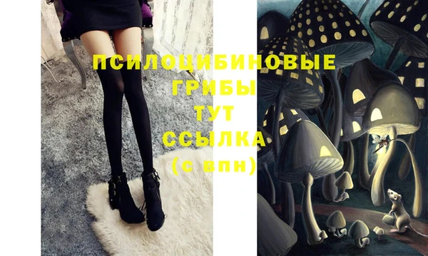 крисы Коряжма