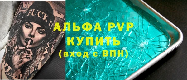 стаф Корсаков