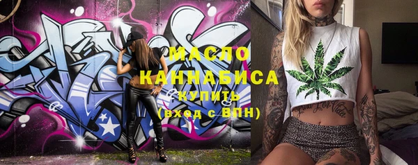 крисы Коряжма