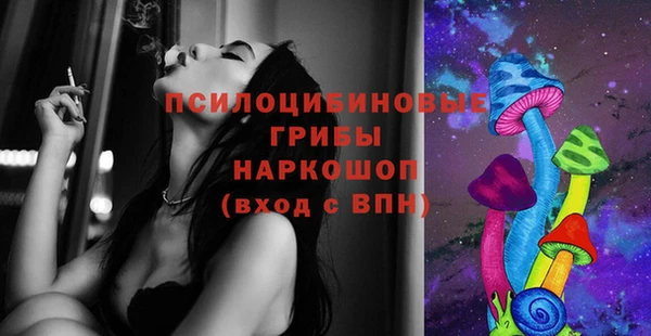 стаф Корсаков