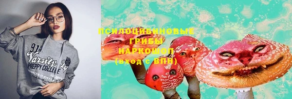 амф Кулебаки