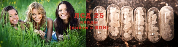 мяу мяу кристалл Кукмор