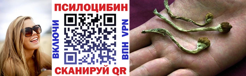 гидра вход  купить наркотик  Медвежьегорск  Псилоцибиновые грибы Cubensis 